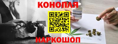 гашик Можга