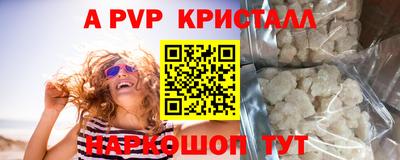 гашик Можга