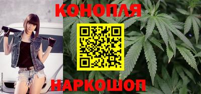 гашик Можга