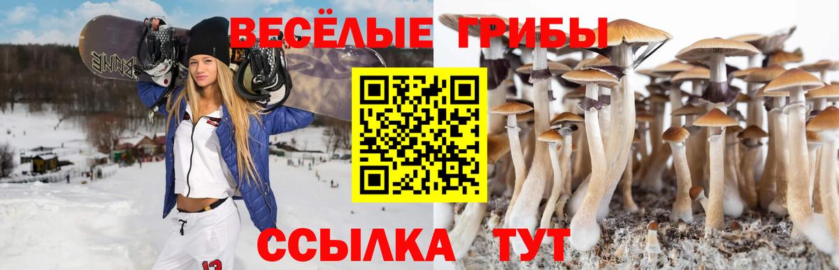 наркотики  Вход с VPN  Галлюциногенные грибы Psilocybine cubensis  Выборг  Галлюциногенные грибы прущие грибы 